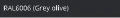 RAL-6006.webp