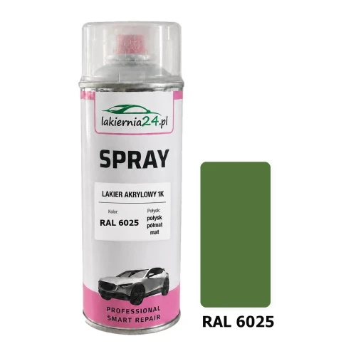 Lakier akrylowy 1K spray 400 ml RAL 6025 – puszka i próbnik koloru